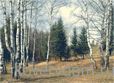 Ковер Сувенирный 50672 Ковер Сувенирный 50672