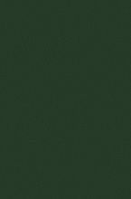 Овальный ковровая Дорожка COLIZEY P000 GREEN